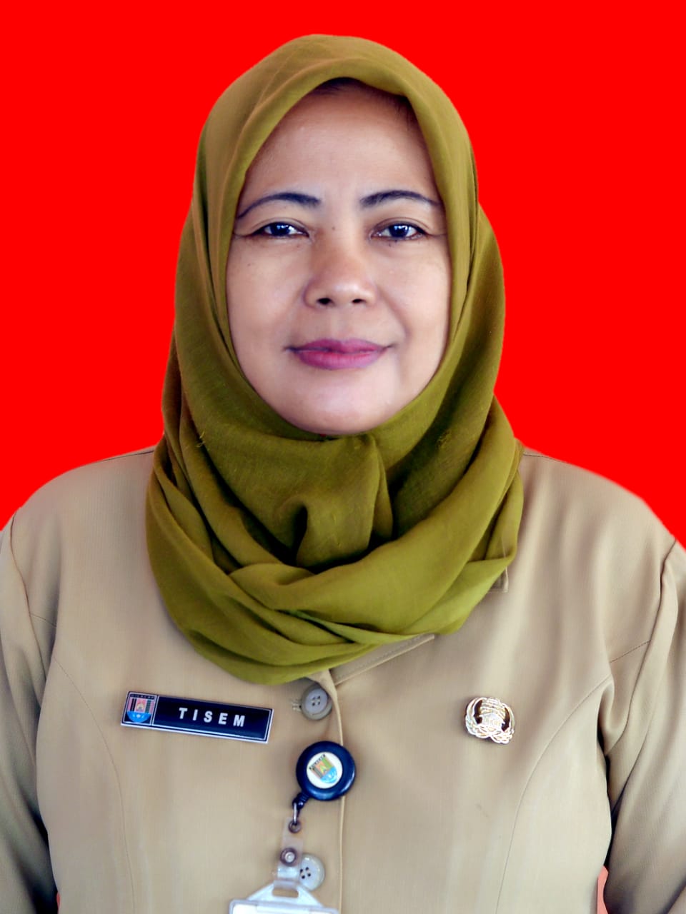 TISEM
