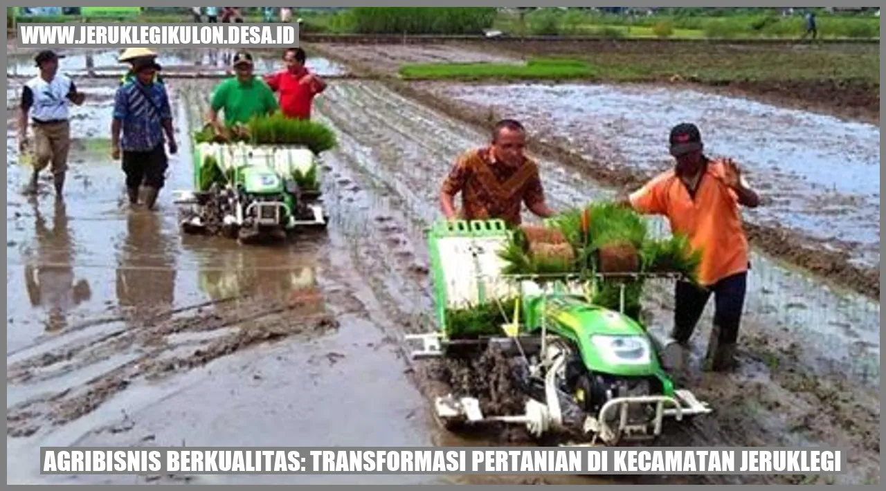 Gambar Agribisnis Berkualitas: Transformasi Pertanian di Kecamatan Jeruklegi
