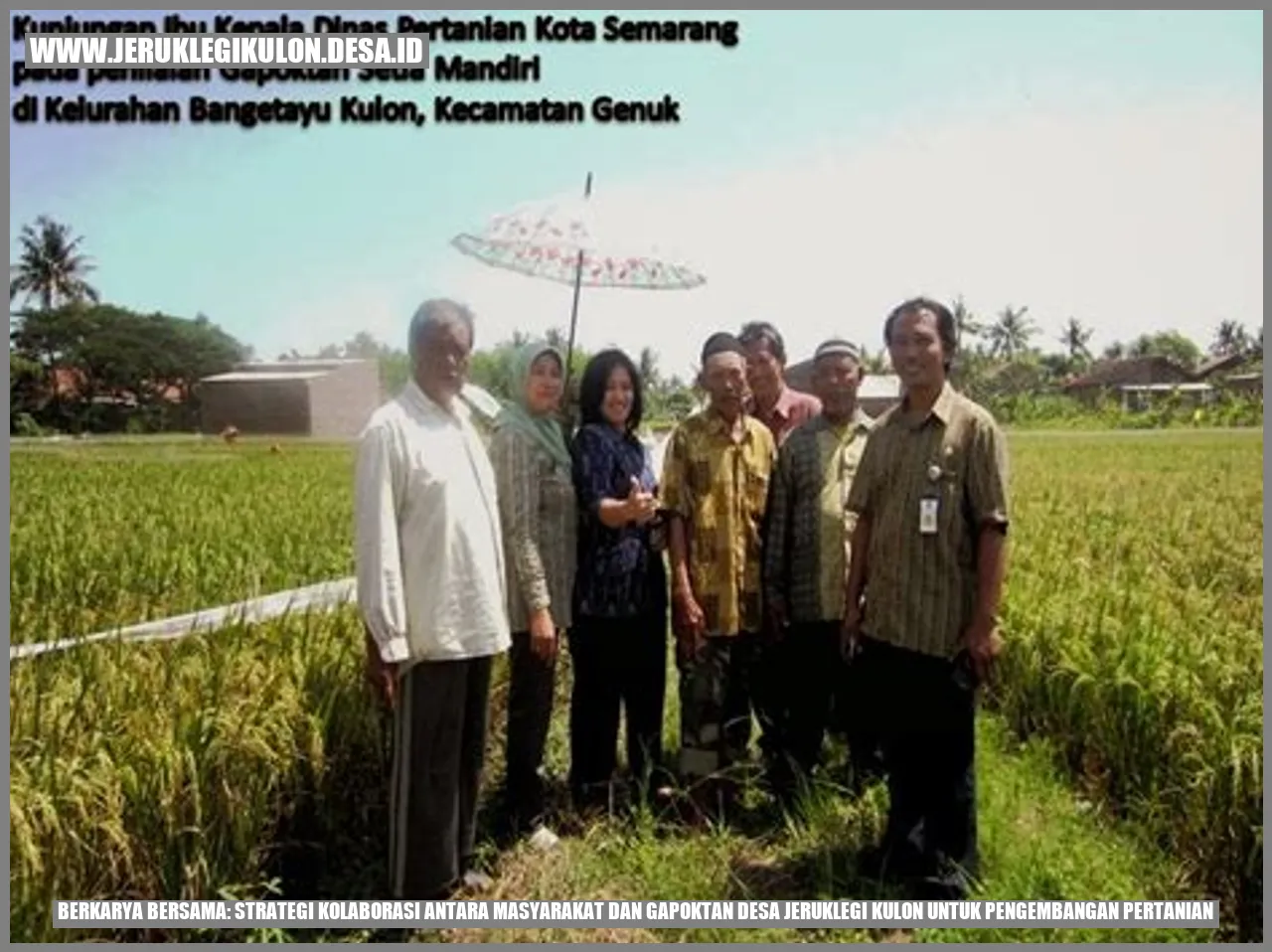 Berkarya Bersama: Strategi Kolaborasi antara Masyarakat dan Gapoktan Desa Jeruklegi Kulon untuk Pengembangan Pertanian