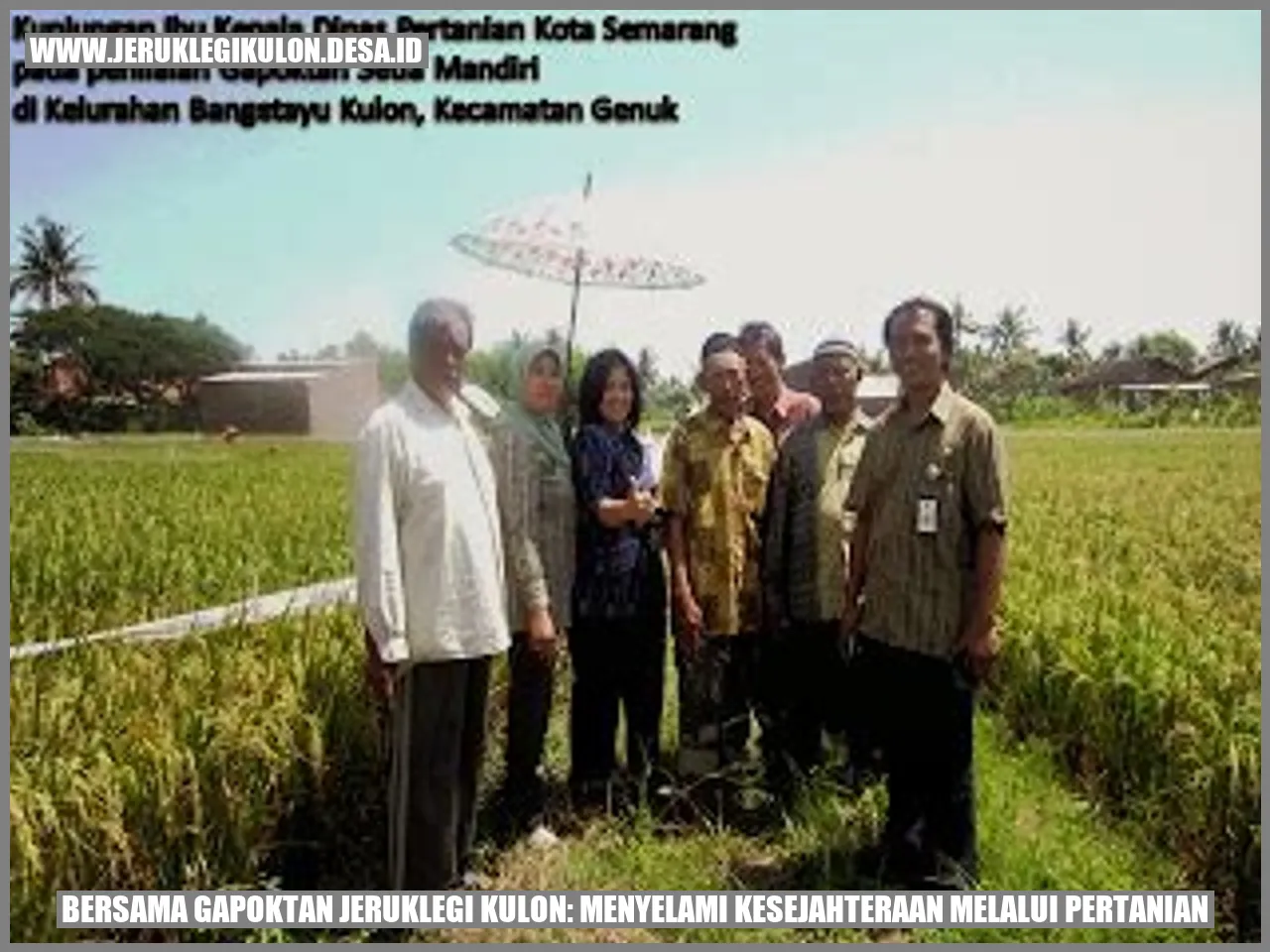 Bersama Gapoktan Jeruklegi Kulon: Menyelami Kesejahteraan melalui Pertanian