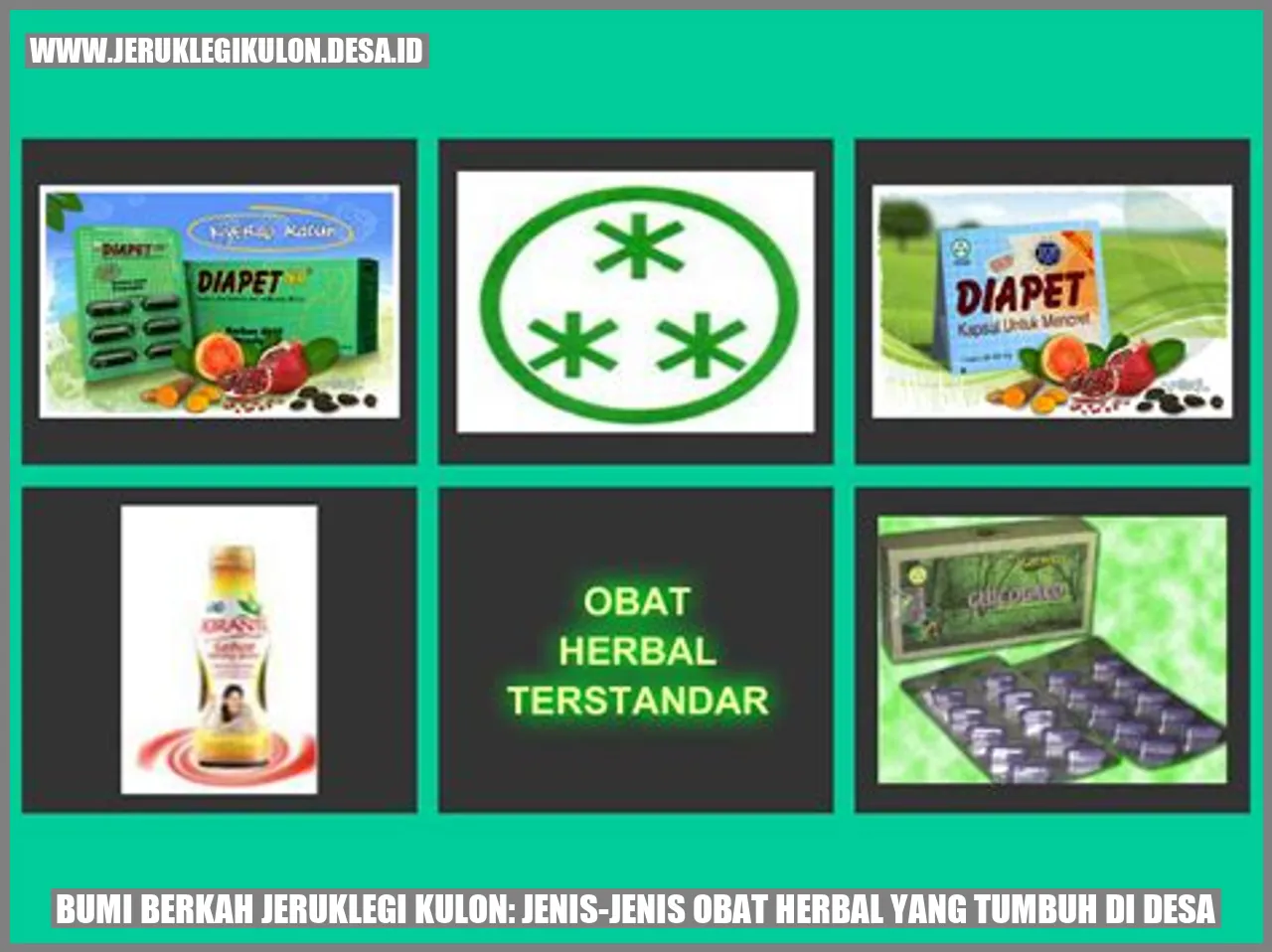 Bumi Berkah Jeruklegi Kulon: Jenis-jenis Obat Herbal yang Tumbuh di Desa