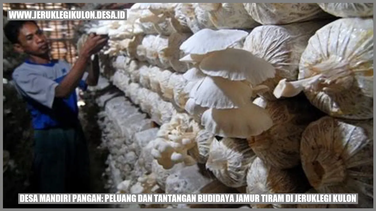 Desa Mandiri Pangan: Peluang dan Tantangan Budidaya Jamur Tiram di Jeruklegi Kulon