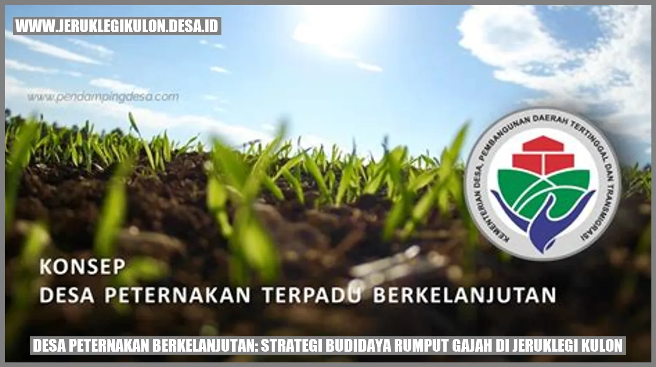 Desa Peternakan Berkelanjutan: Strategi Budidaya Rumput Gajah di Jeruklegi Kulon