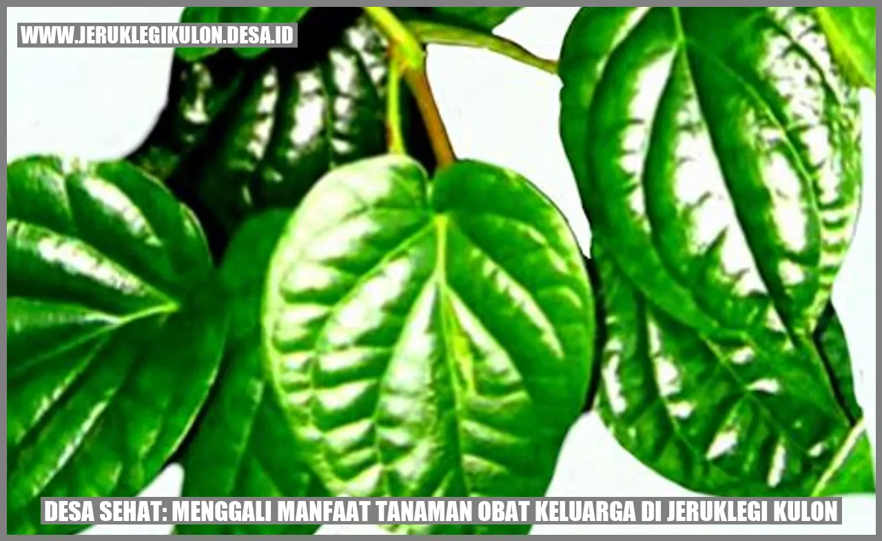 Desa Sehat: Menggali Manfaat Tanaman Obat Keluarga di Jeruklegi Kulon