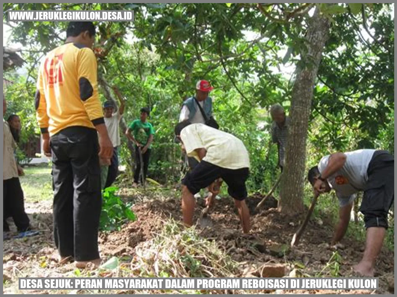 Desa Sejuk: Peran Masyarakat dalam Program Reboisasi di Jeruklegi Kulon