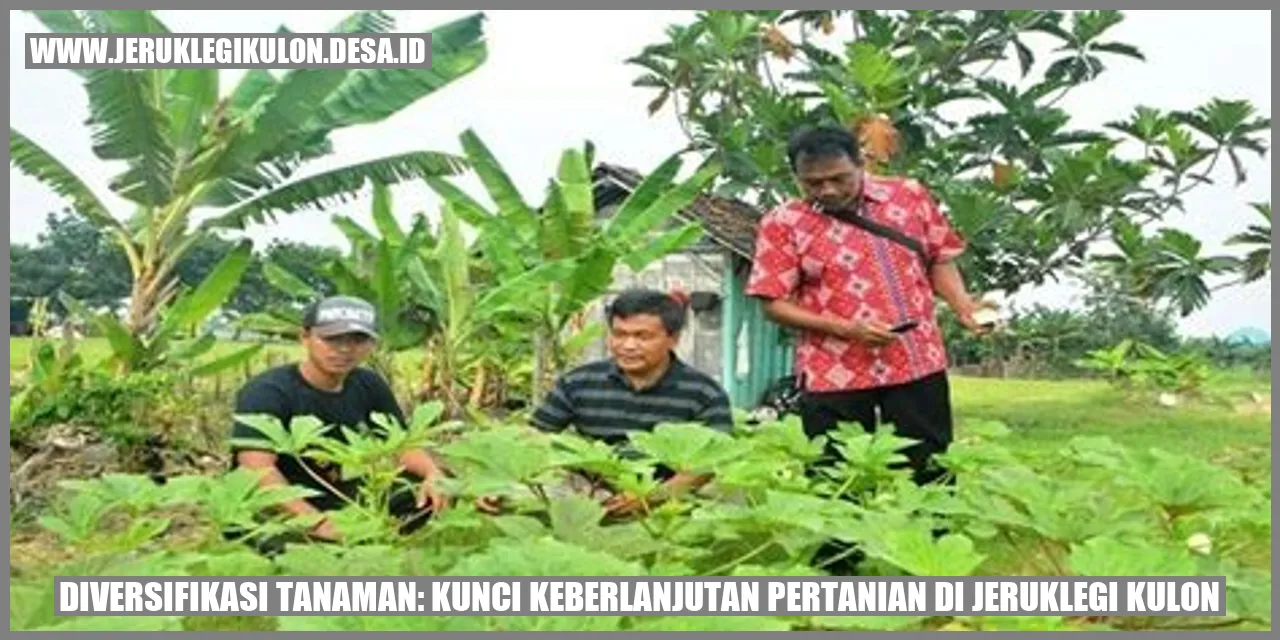 Diversifikasi Tanaman: Kunci Keberlanjutan Pertanian di Jeruklegi Kulon