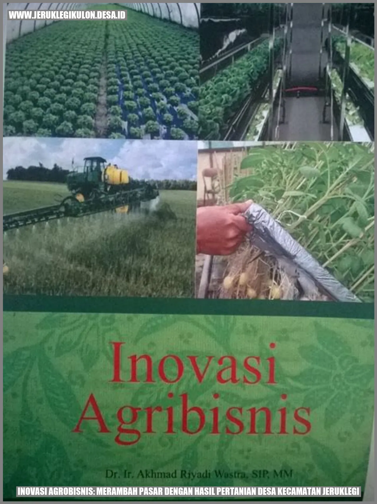 Inovasi Agrobisnis: Merambah Pasar dengan Hasil Pertanian Desa Kecamatan Jeruklegi