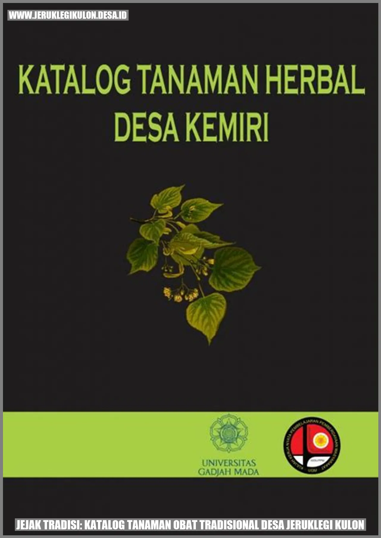Jejak Tradisi: Katalog Tanaman Obat Tradisional Desa Jeruklegi Kulon