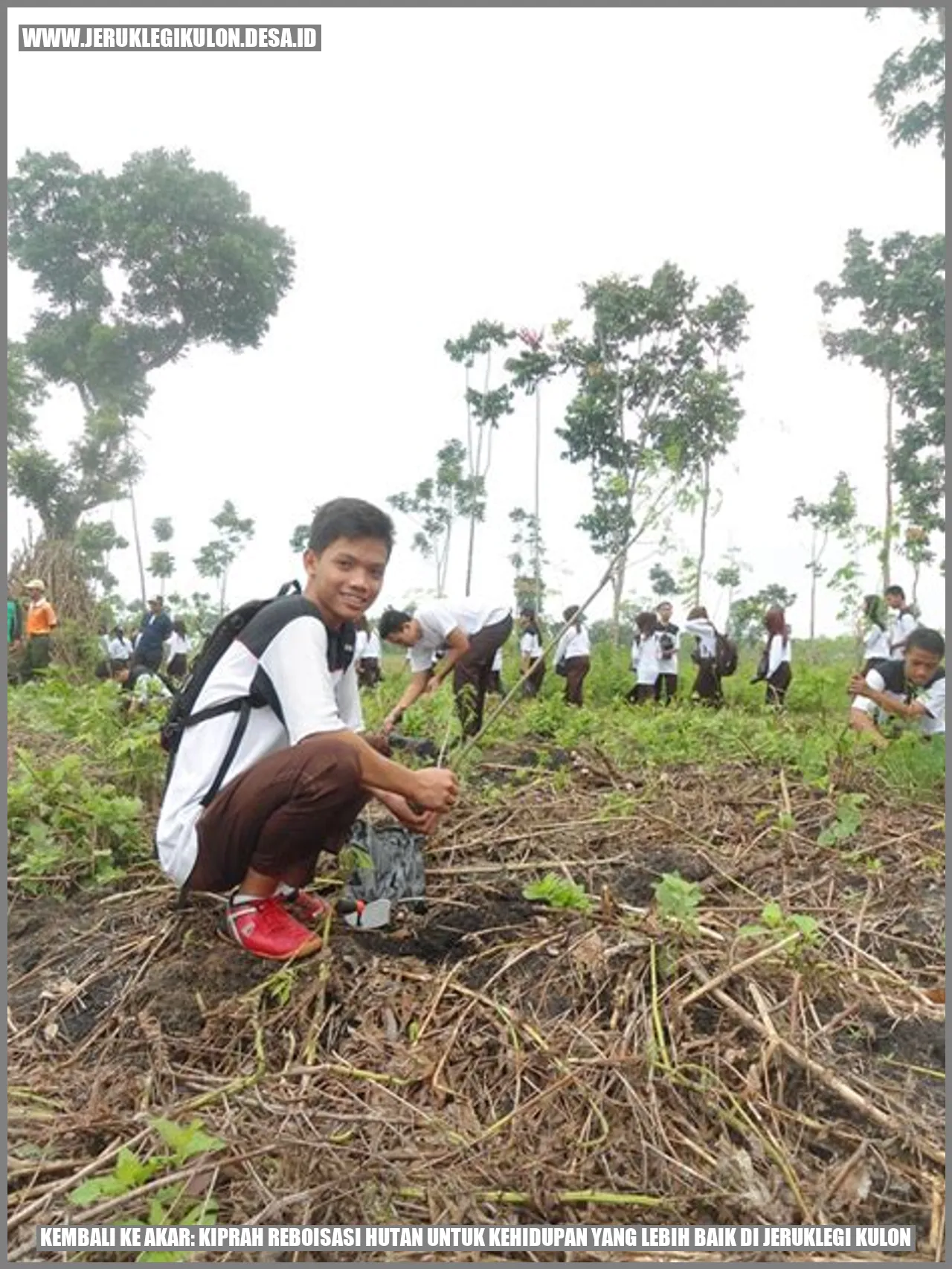 Reboisasi Hutan di Jeruklegi Kulon
