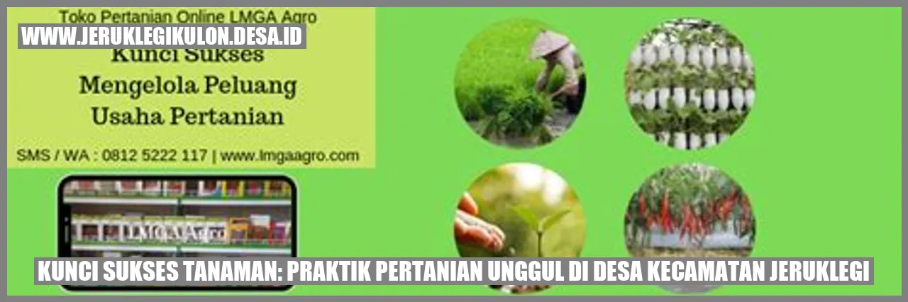 Pola Tanam Rotasi