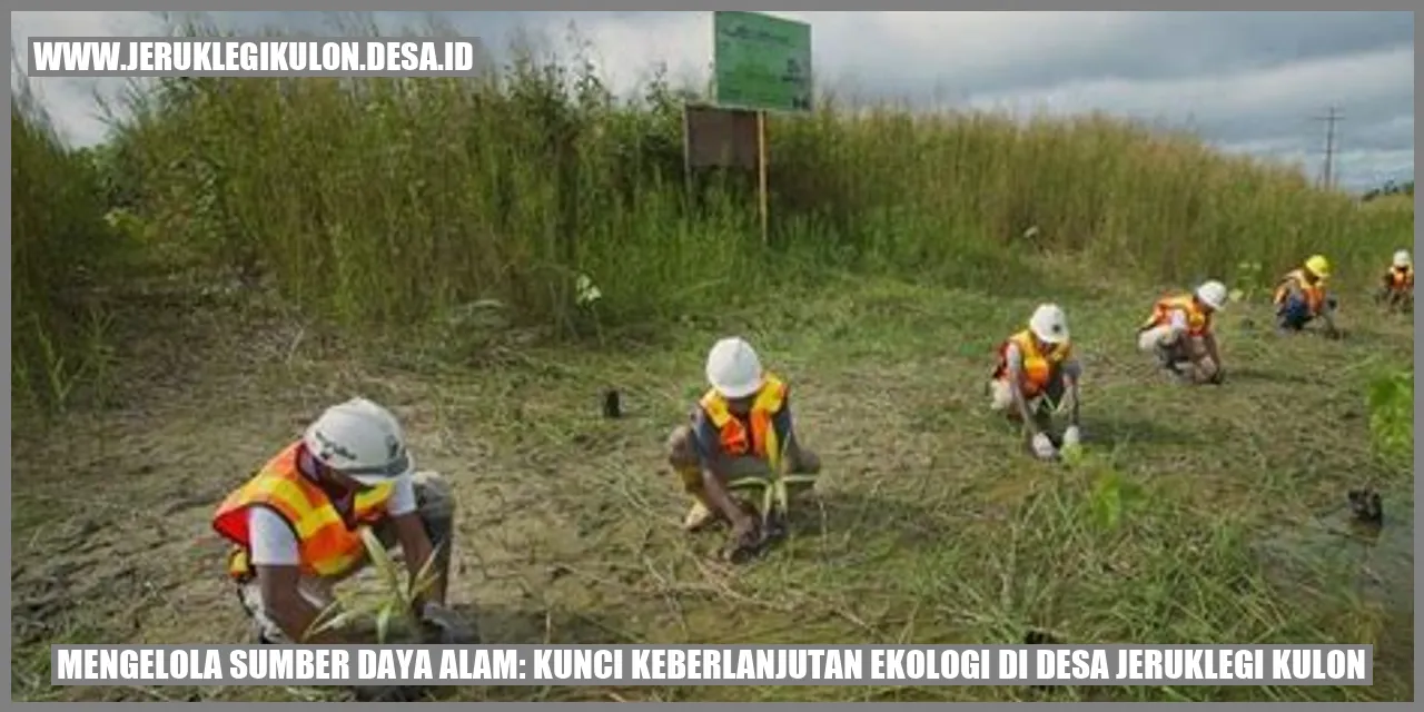 Mengelola Sumber Daya Alam: Kunci Keberlanjutan Ekologi di Desa Jeruklegi Kulon