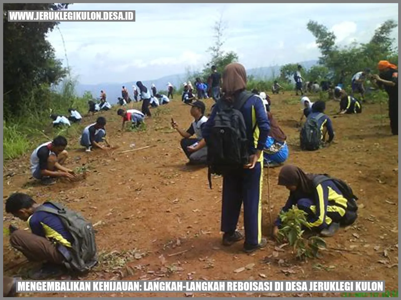 Mengembalikan Kehijauan: Langkah-Langkah Reboisasi di Desa Jeruklegi Kulon