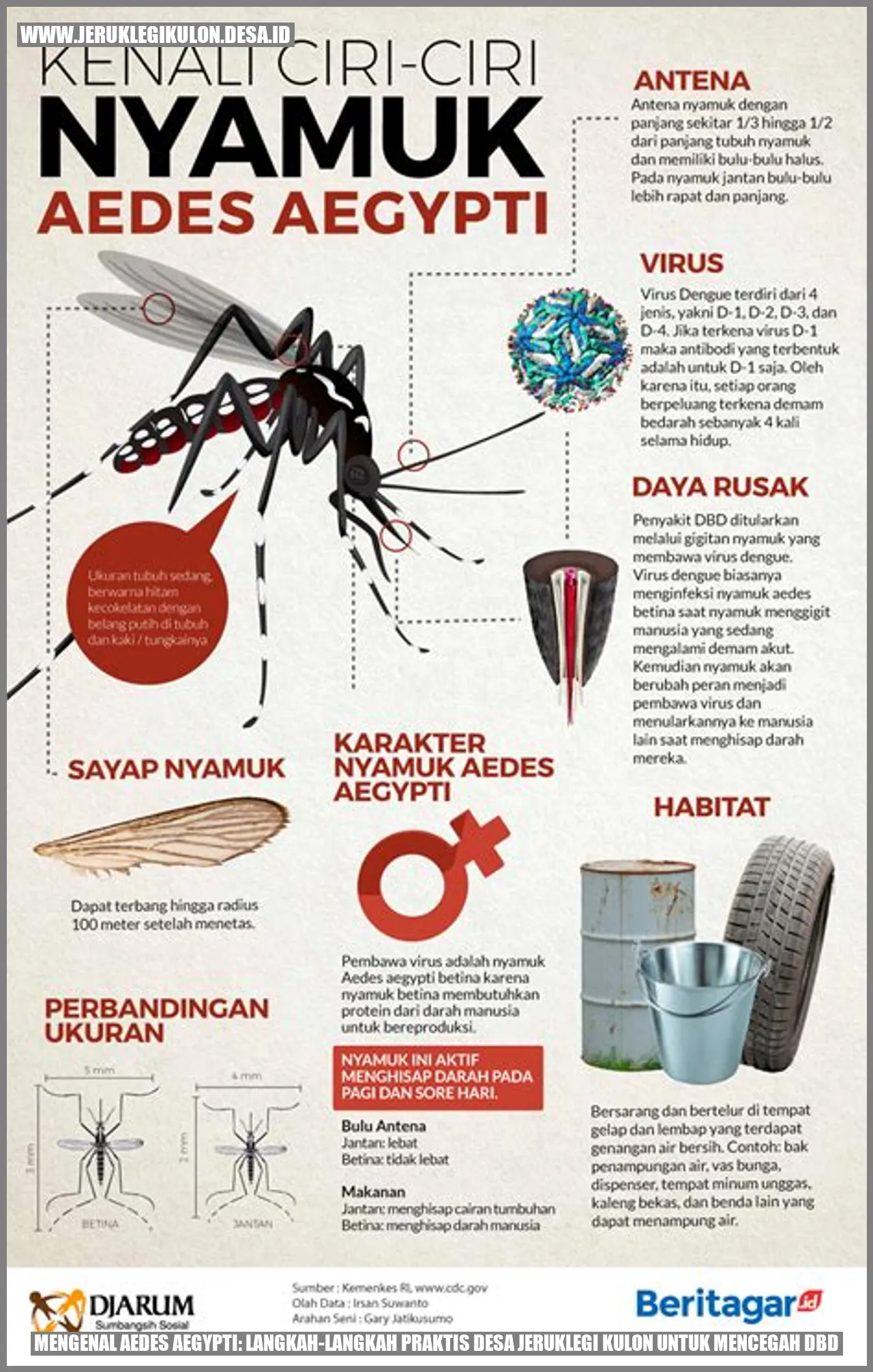 Mengenal Aedes aegypti: Langkah-langkah Praktis Desa Jeruklegi Kulon untuk Mencegah DBD