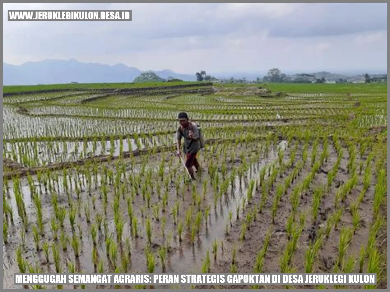 Gambar ketahanan pangan
