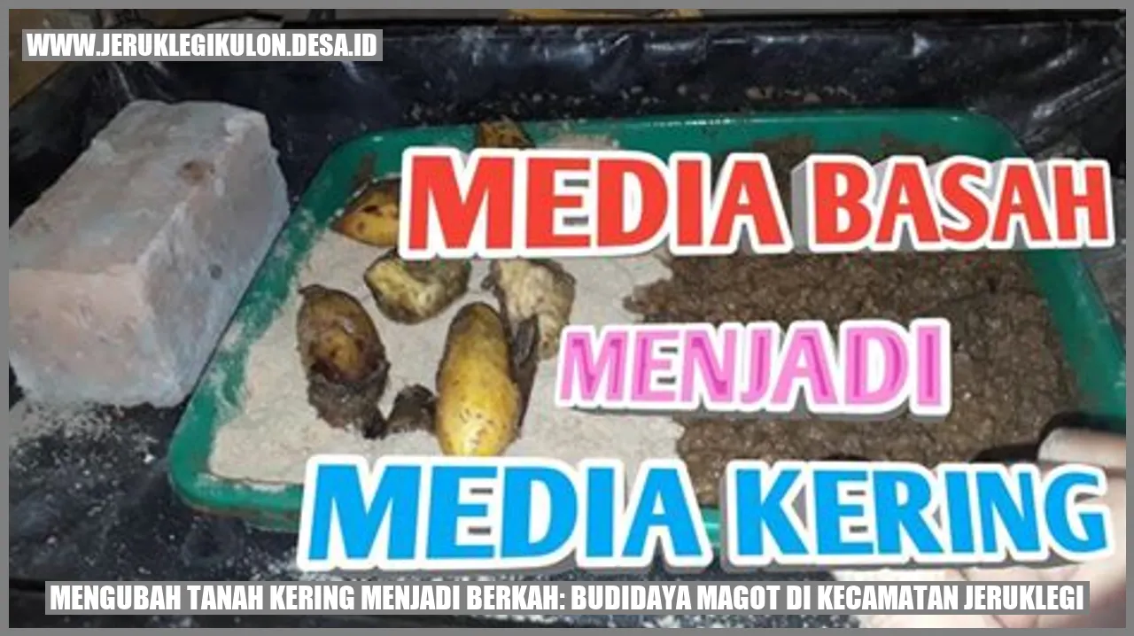 Tanah kering