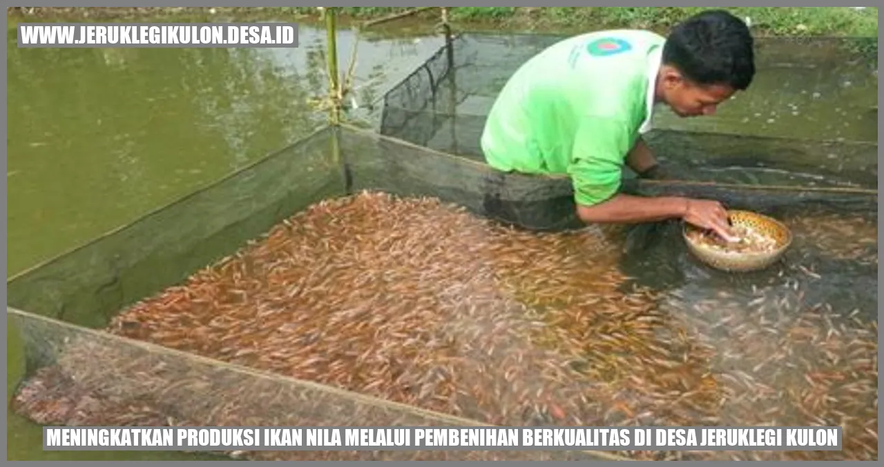 Meningkatkan Produksi Ikan Nila Melalui Pembenihan Berkualitas di Desa Jeruklegi Kulon