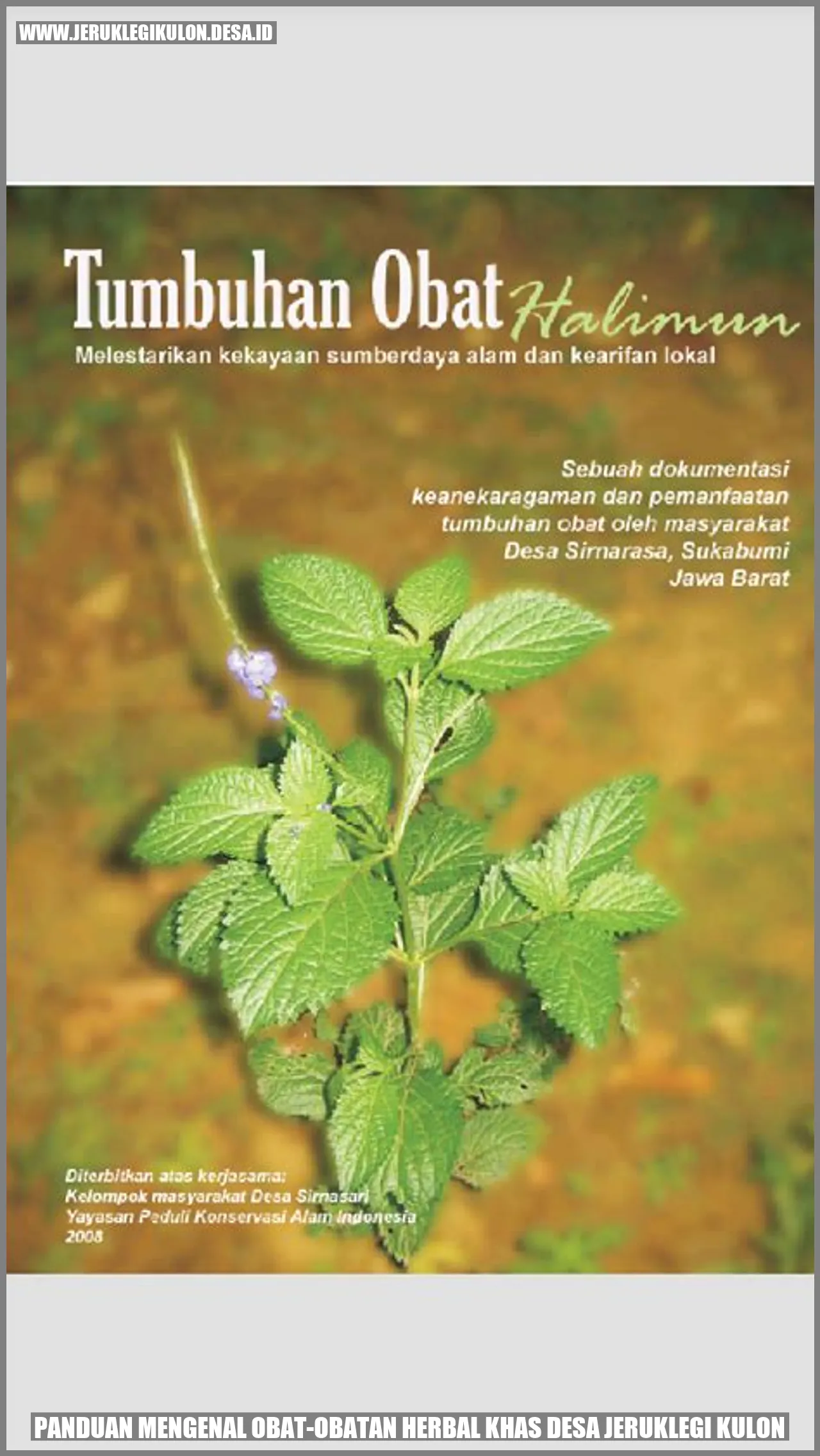 Obat-obatan Herbal