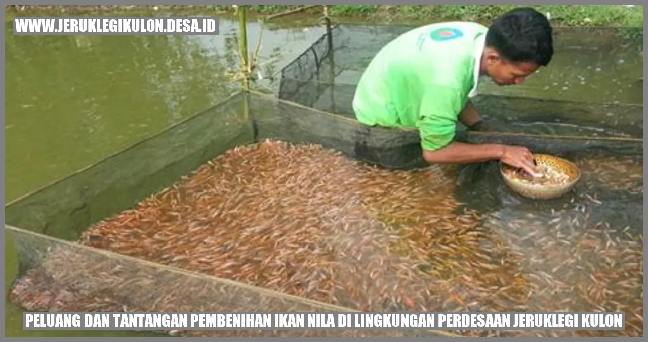 Peluang dan Tantangan Pembenihan Ikan Nila di Lingkungan Perdesaan Jeruklegi Kulon