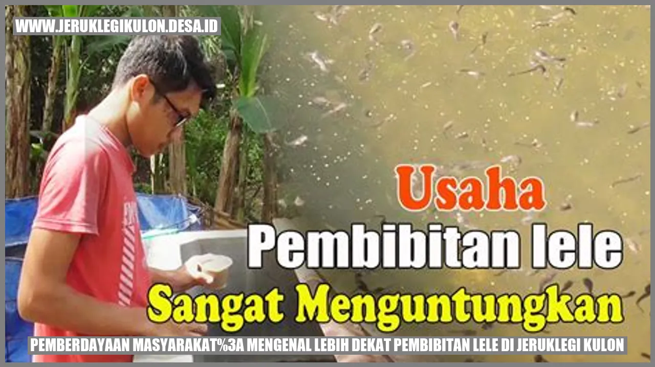 Gambar Pembibitan Lele