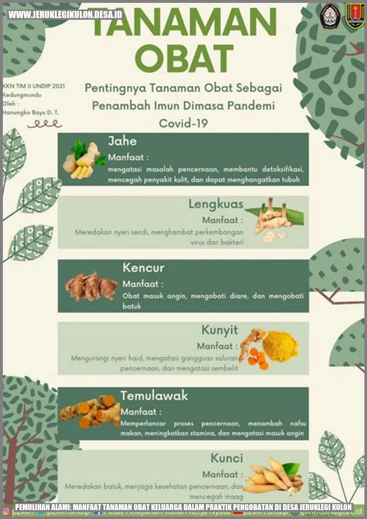 Tanaman Obat Keluarga