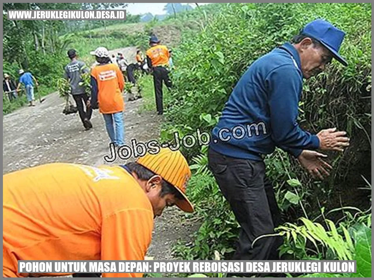 Reboisasi Desa Jeruklegi Kulon
