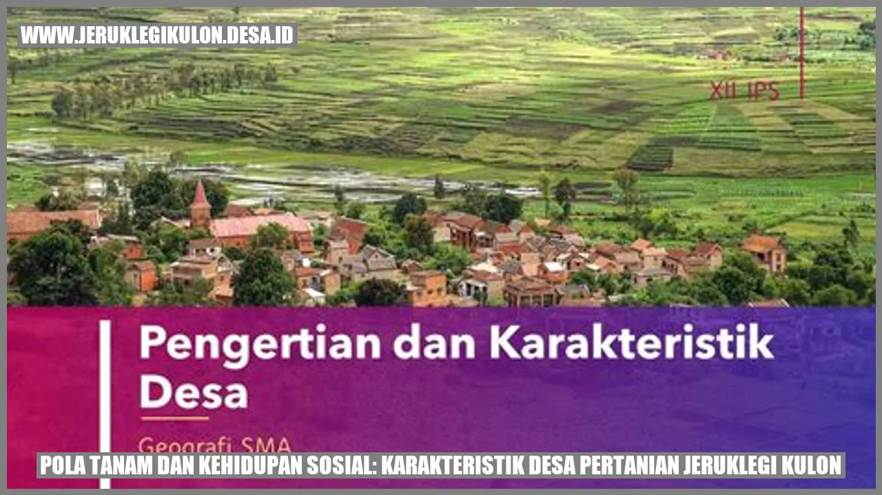 Gambar Desa Pertanian Jeruklegi Kulon