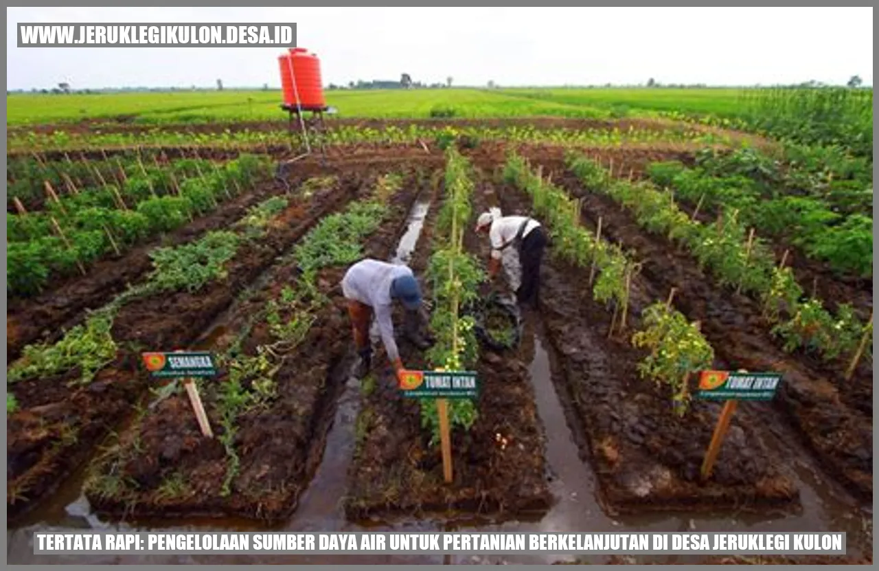 Tertata Rapi: Pengelolaan Sumber Daya Air untuk Pertanian Berkelanjutan di Desa Jeruklegi Kulon